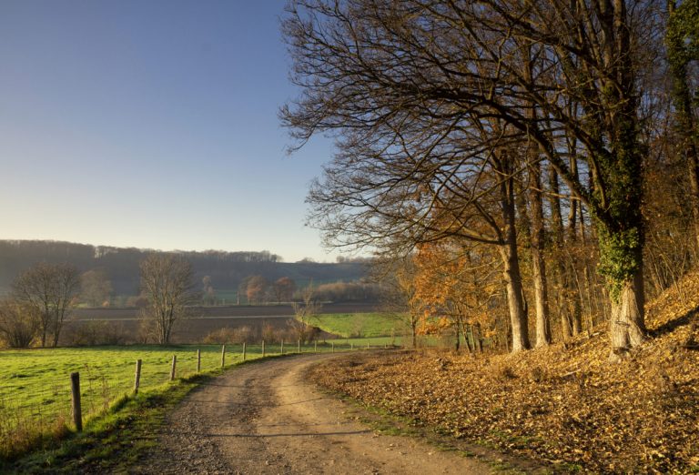 Natur in den Mittagspausen nutzen