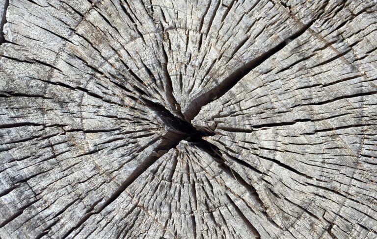 Eigenschaften vom Holz
